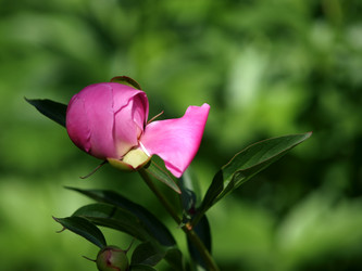 Similar image 8391059