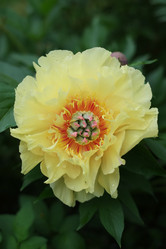 Similar image 8391060