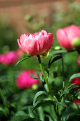 Similar image 8391066