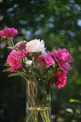 Similar image 8391067