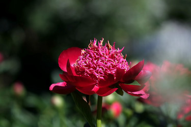 Similar image 8391068