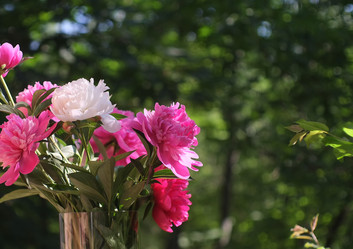 Similar image 8391069