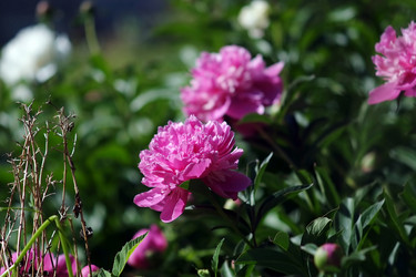 Similar image 8391070