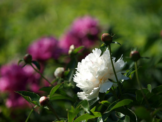 Similar image 8391071