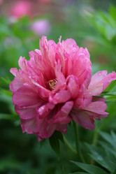 Similar image 8391072