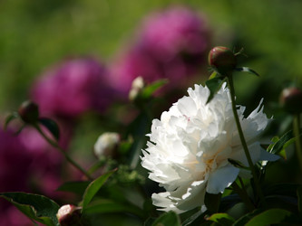 Similar image 8391073