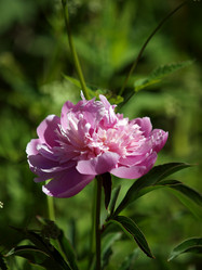 Similar image 8391077