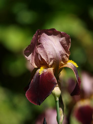 Similar image 8391078