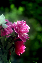 Similar image 8391079