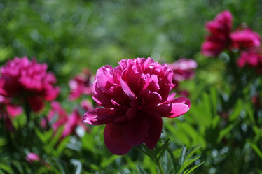 Similar image 8391086