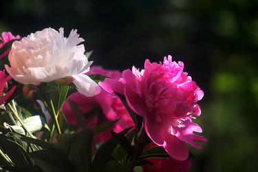 Similar image 8391087