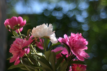 Similar image 8391089