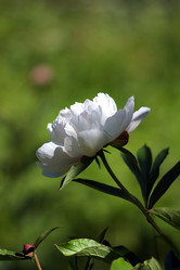 Similar image 8391090