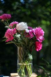 Similar image 8391091