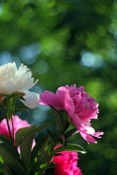 Similar image 8391093