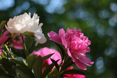 Similar image 8391095