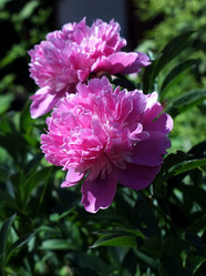 Similar image 8391096