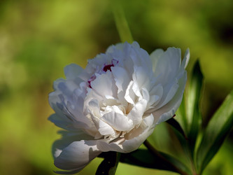 Similar image 8391097