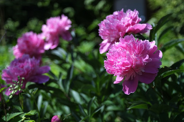 Similar image 8391098