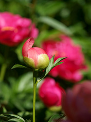 Similar image 8391099