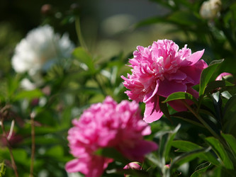 Similar image 8391100