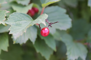 Similar image 8391108