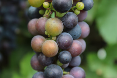 Similar image 8391559