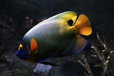 Similar image 8391561