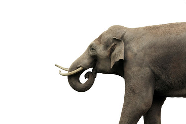 Similar image 8391563