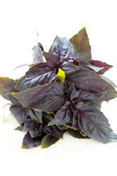 Similar image 8392189