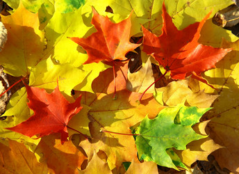 Similar image 8392703