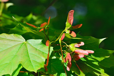 Similar image 8392713