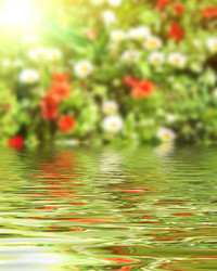 Similar image 8392754