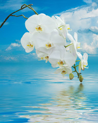 Similar image 8392755