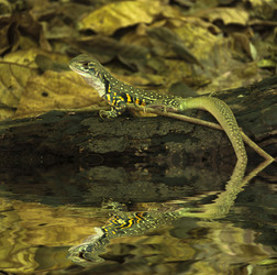 Similar image 8392757