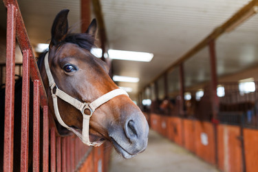 Similar image 8392776