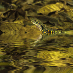 Similar image 8392787