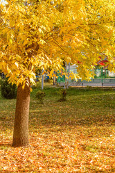 Similar image 8392797