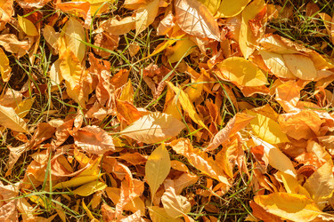 Similar image 8392798