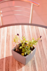 Similar image 8392811