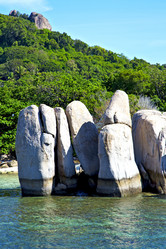 Similar image 8392835