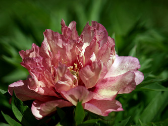 Similar image 8393006