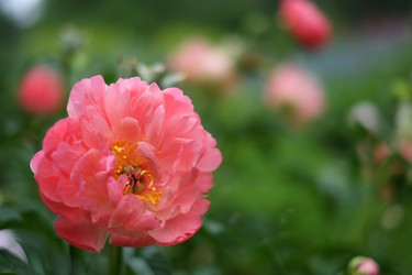 Similar image 8393008