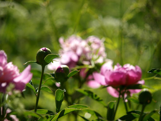 Similar image 8393010