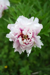 Similar image 8393013