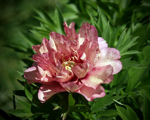 Similar image 8393014