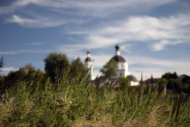 Similar image 8393015