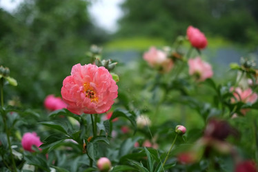 Similar image 8393016