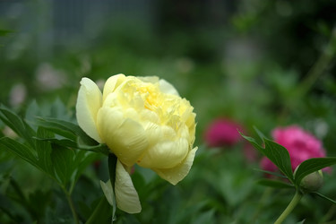 Similar image 8393018