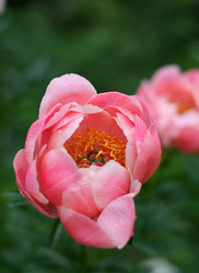 Similar image 8393019